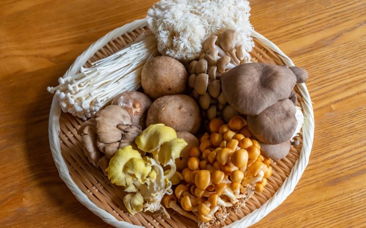 【東京おでんだね】おでんのきのこの調理方法