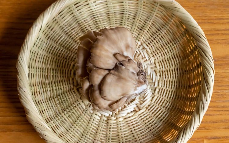 【東京おでんだね】おでんのきのこの調理方法