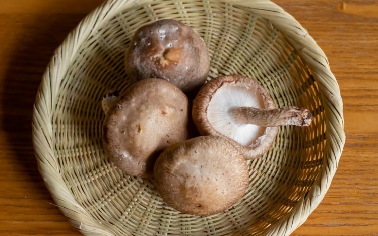 【東京おでんだね】おでんのきのこの調理方法