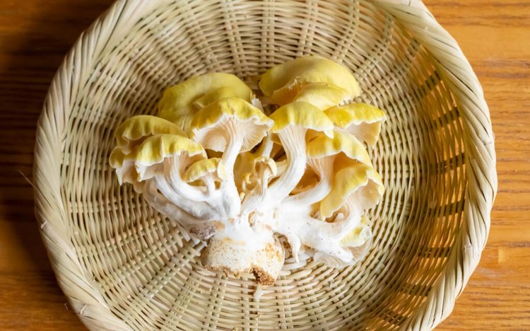 【東京おでんだね】おでんのきのこの調理方法