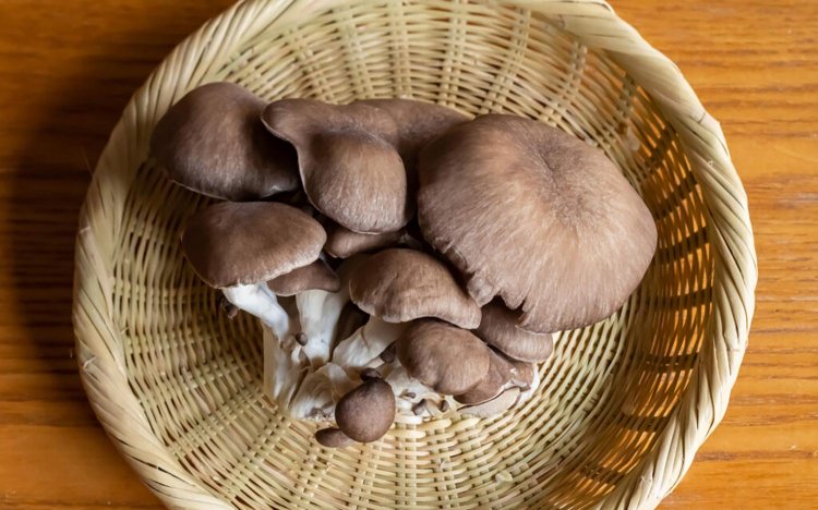 【東京おでんだね】おでんのきのこの調理方法