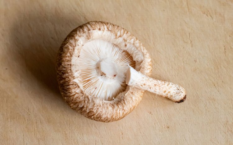 【東京おでんだね】おでんのきのこの調理方法