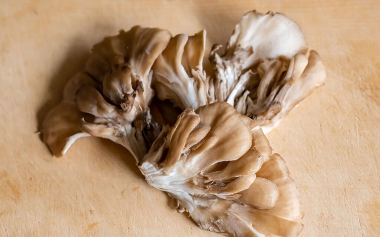 【東京おでんだね】おでんのきのこの調理方法