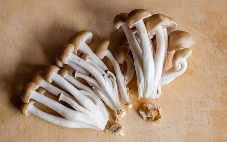 【東京おでんだね】おでんのきのこの調理方法