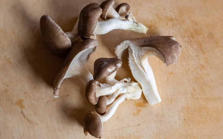 【東京おでんだね】おでんのきのこの調理方法