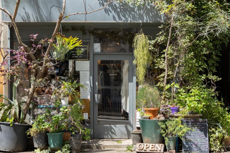 植物に覆われた築60年の建物で14年営む。