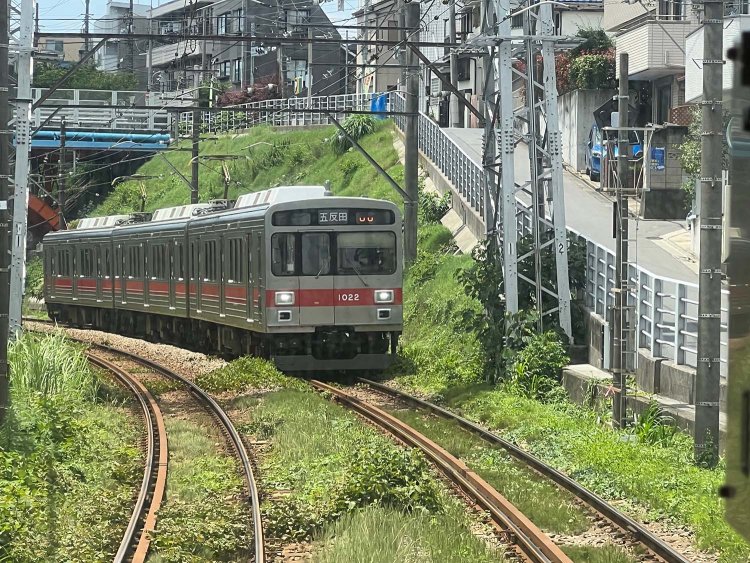 雑草がボーボーと生い茂る区間もあり、なんか、東京都内にいる感じがしない。