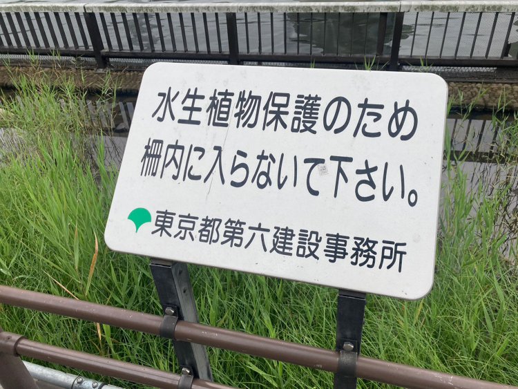 アンゴラ村長_230616_24