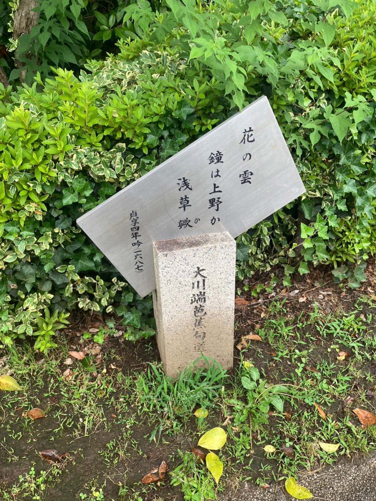 アンゴラ村長_230616_2