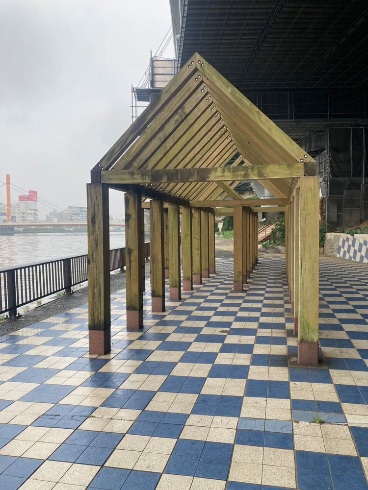 アンゴラ村長_230616_3