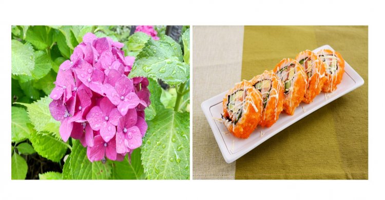 カリフォルニアロールは生魚が苦手な外国人に食べやすいように考案された寿司だといわれている。関連性はなさそうに思えるが……。