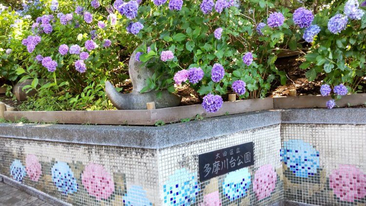 都内の有名アジサイスポット・多摩川台公園ではかたつむりのオブジェがお出迎え。