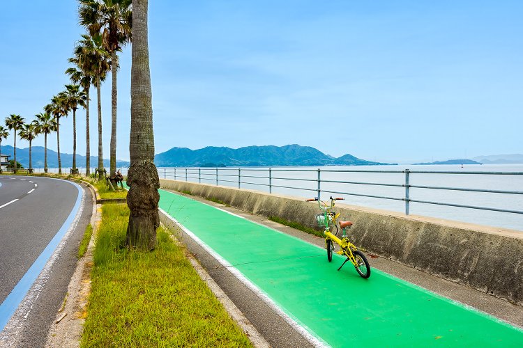 南国気分のパームツリーが並ぶサイクリングロードは整備され、走りやすい。