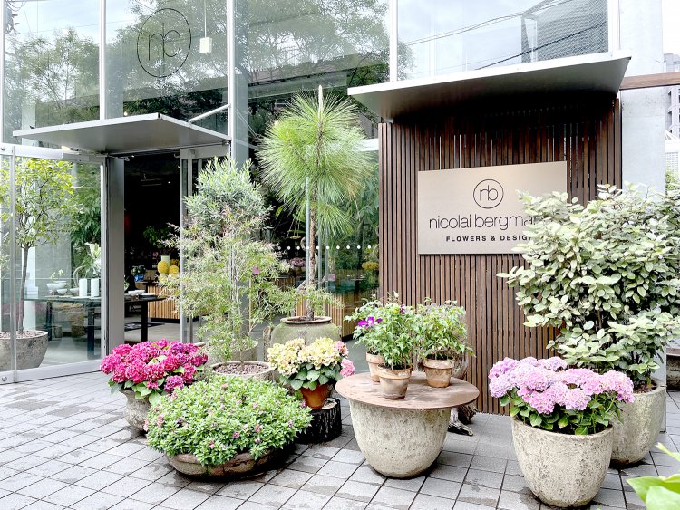取材に訪れた時は珍しい紫陽花が店頭を飾っていた。