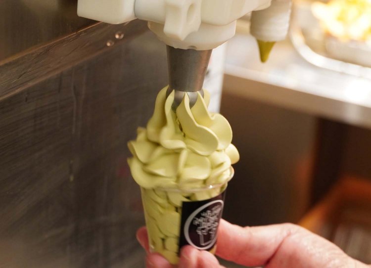 花が咲いているような形で、写真映えもバッチリ！