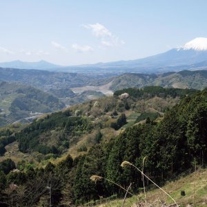 富士山といつも一緒に、西丹沢の展望所大野山へ【東京発日帰り低山さんぽ】