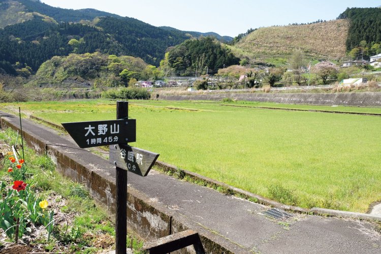 谷峨駅から陸橋を越えて線路を渡り田園の中の道を行く。道標がしっかりついている。