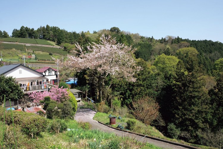10年ほど前に廃校になった共和小学校のある古宿地区の民家。酪農開拓のために入った開拓民で、一時人口が増えた。