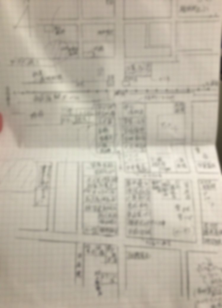 ※ぼかし加工を施しています。