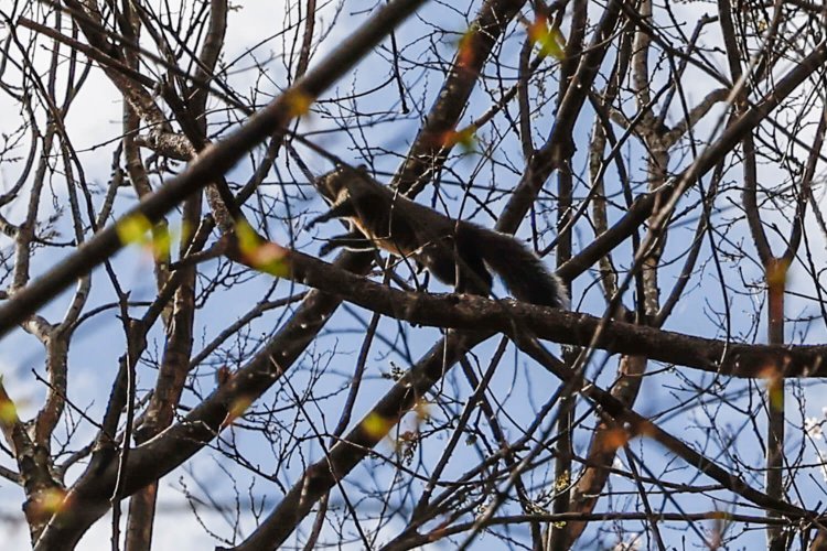 陣ヶ下渓谷公園13