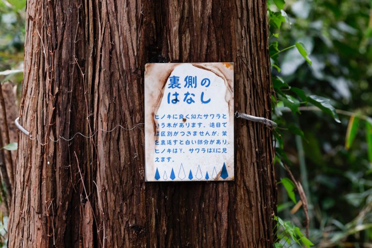 陣ヶ下渓谷公園3