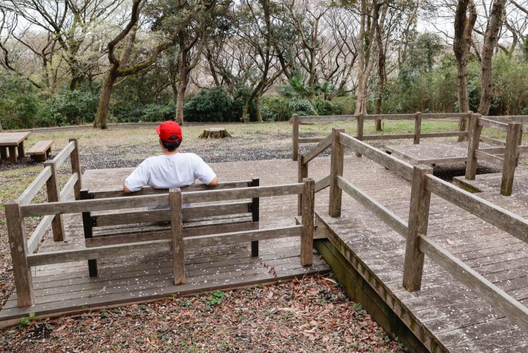 陣ヶ下渓谷公園4