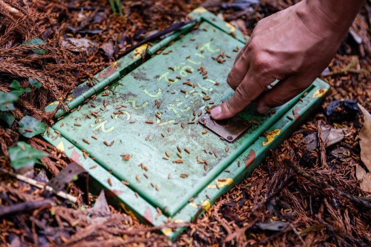 陣ヶ下渓谷公園7