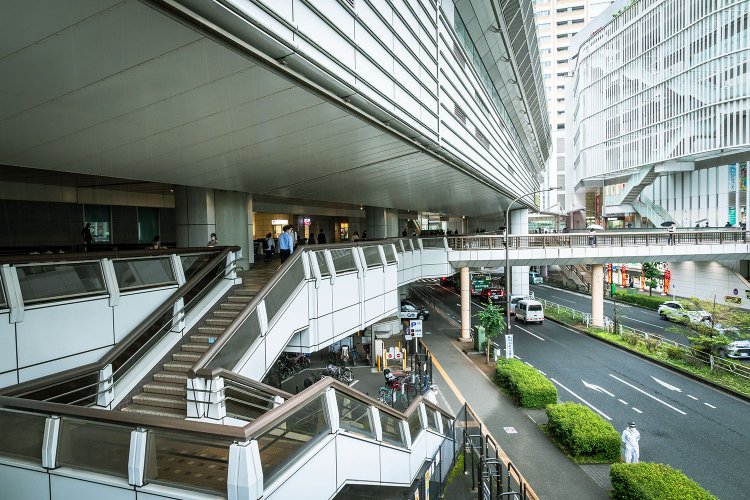 屋根となる部分も多い。