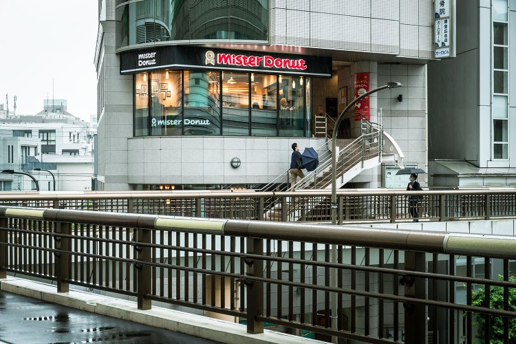 まるで枝葉の先から建物へ入るように接続。