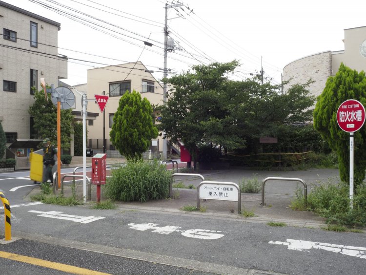 直線の道路をしばし進むと現れる小さな公園。枝葉を低く垂れこめるのが目黒競馬場から立つ桜だという。鳩の憩いの場となっていた。