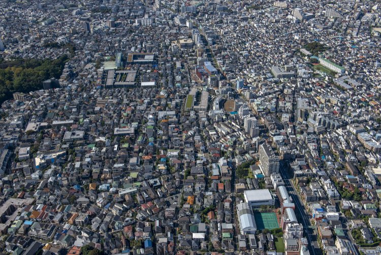 今度は東側から。写真下側の見切れているところが下り坂となって、やがて目黒川へ至る。写真左側が林試の森だ。