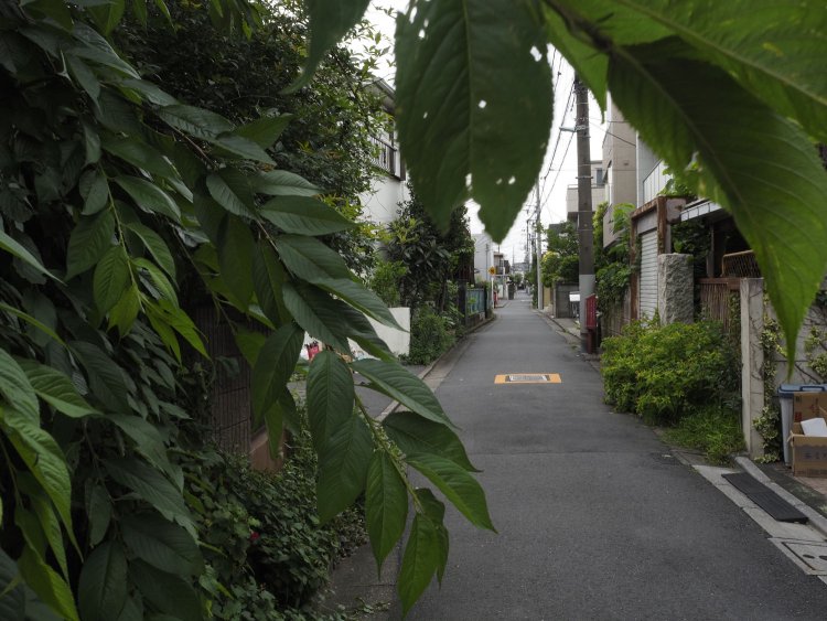 半円の曲線が終わると、今度は細い道がずっとまっすぐに伸びている。いやぁ、これは廃線跡っぽいなぁ。でも、コースのバックストレートであった。