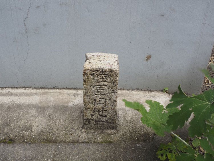 よく陸軍までで埋もれているものもあるのだが、ここはちゃんと読める。フェンスから簡単に覗ける。