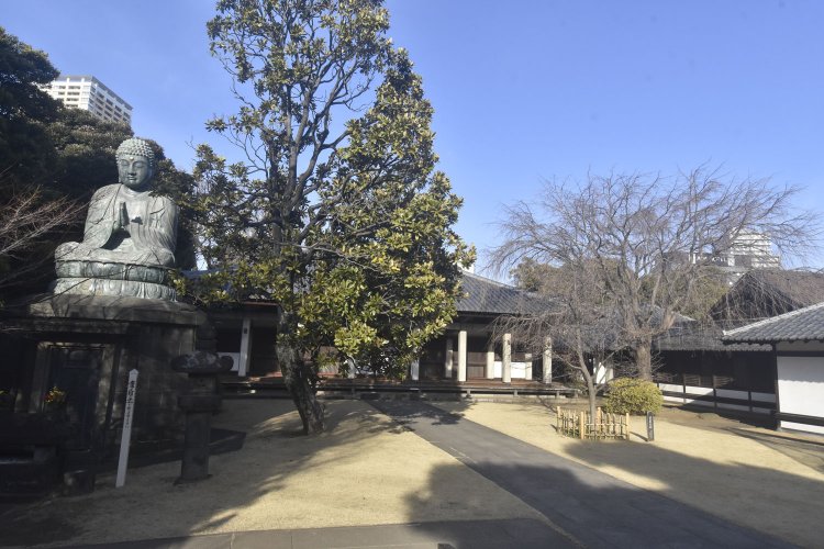 現在の天王寺境内。左の大仏が目を引く。