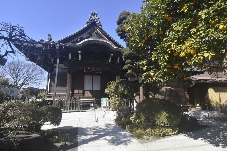 忠吾は賊の一人が入った数珠屋の正面にあった上聖寺で張り込みをする。