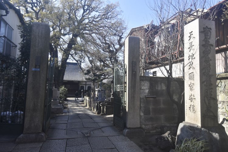 高橋泥舟の墓がある大雄寺。境内に見える大樹がクスノキで、その下に墓がある。