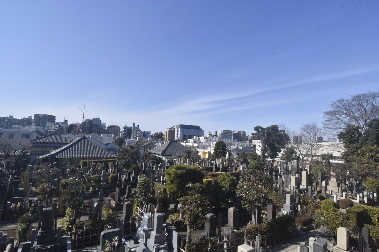 全生庵の境内からの風景。空の広さを感じる。
