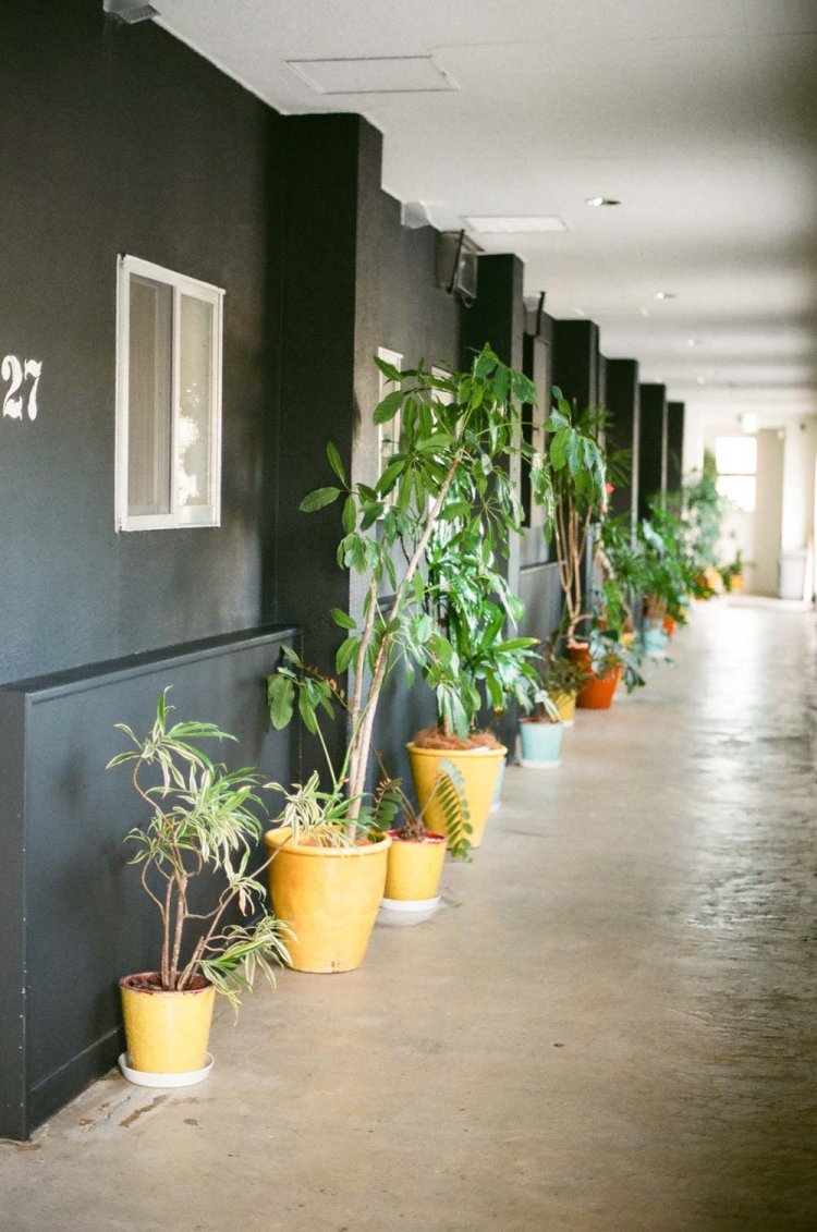 Nikon newFM2で撮影。