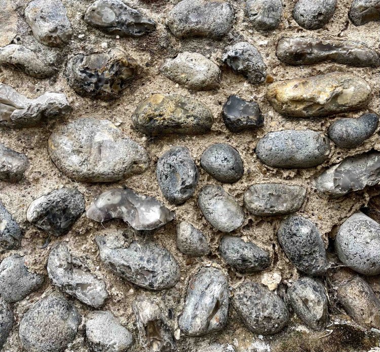 岸で拾ったらしい。