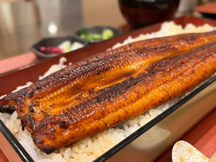 【としまらいふ】清流うなぎ月島