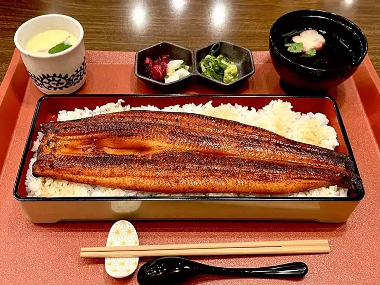 【としまらいふ】清流うなぎ月島