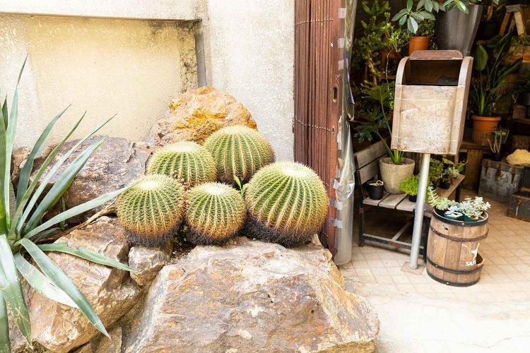 【散歩の達人】ハローアゲイン、生々流転の上野をゆく