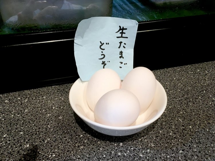 なんとランチタイムでは生たまごが無料。ご飯をおかわりして卵かけご飯でシメるのもいい。