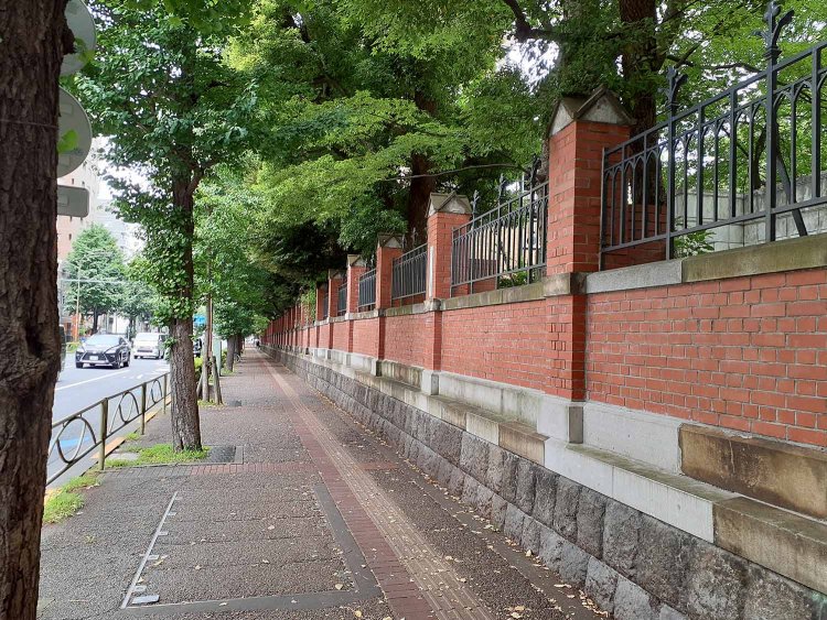 礼子さんが通った東京大学前の本郷通り。柴又からだと、金町経由、常磐緩行線～地下鉄千代田線根津駅下車か。乗り換え1回、所要時間約45分とはなかなか便利。