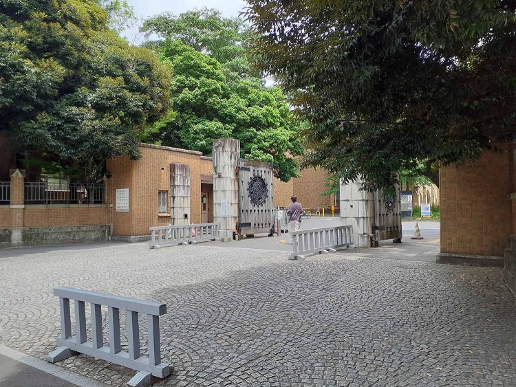 東大の考古学教室は本郷キャンバスにあるから、普通は正門を通るはずだが、礼子さんが通ったのは農正門(農学部の正門)。不自然なり。