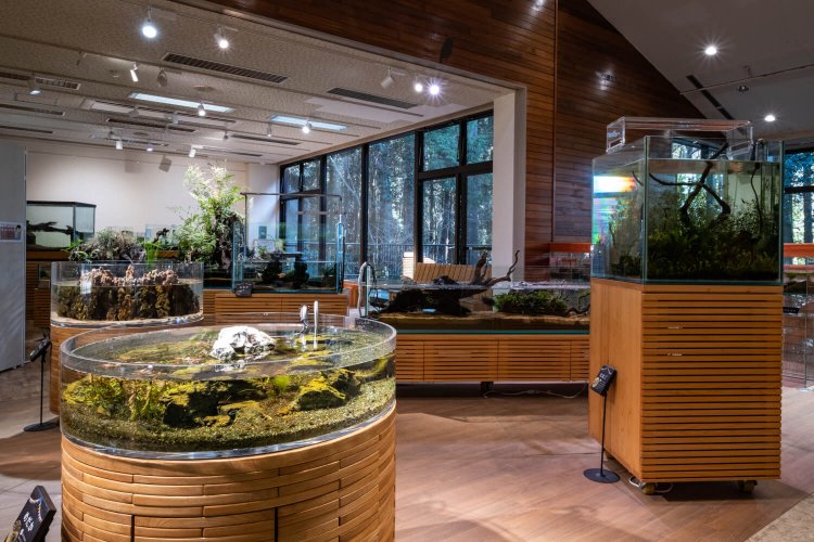 ネイチャーセンター内に設置された「水辺の生きもの展示コーナー」。