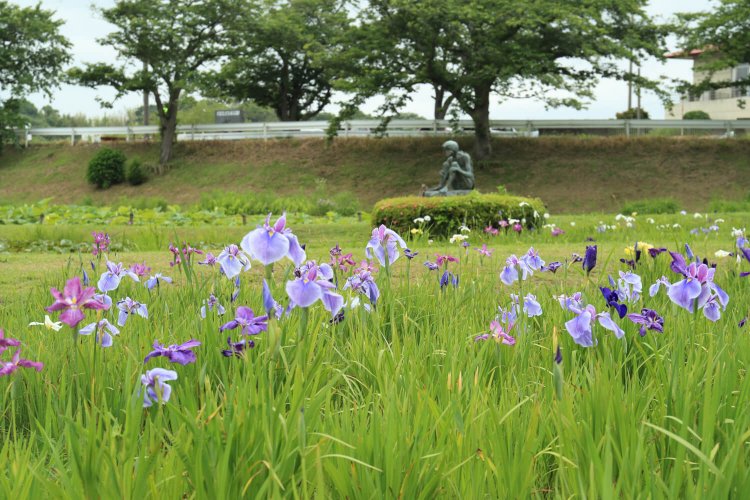 園内には座り込んだかっぱの像も（写真提供＝牛久市観光協会）。