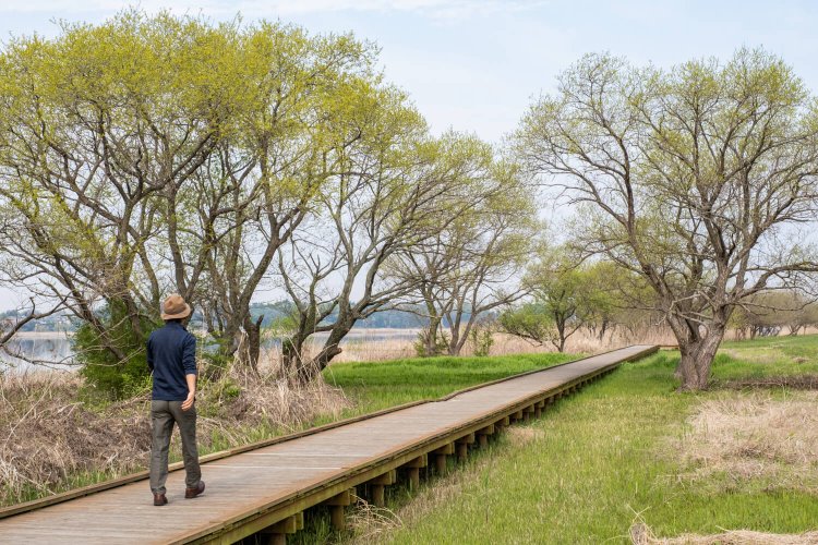 小径の一部分には木道が敷かれ、散策に訪れる住民の姿も見かける。