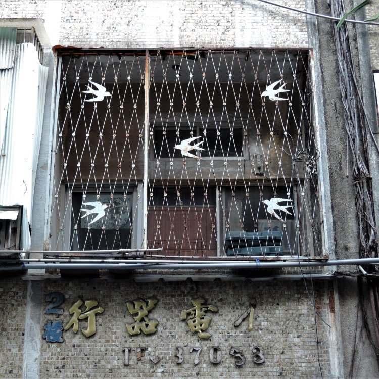 窓辺を飛ぶツバメ。