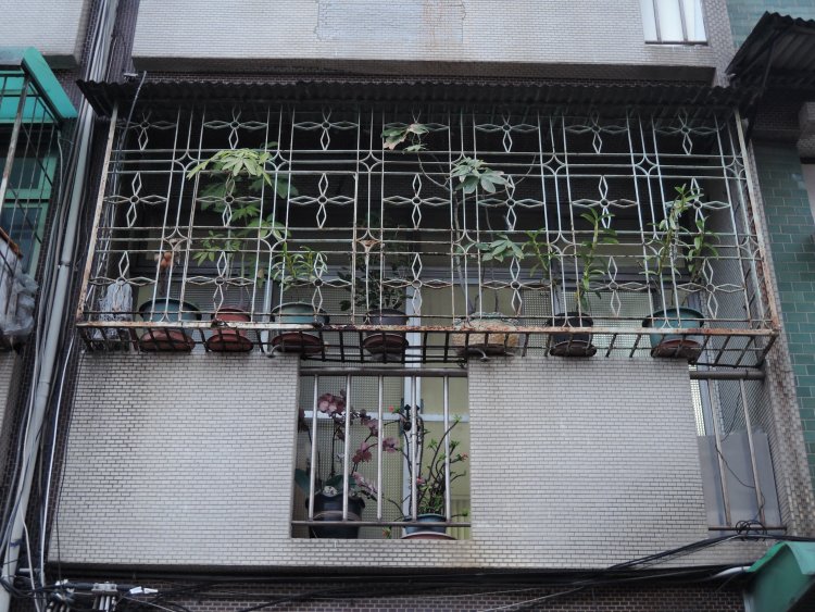 鉄窓花とベランダの鉢植えとがコラボ。